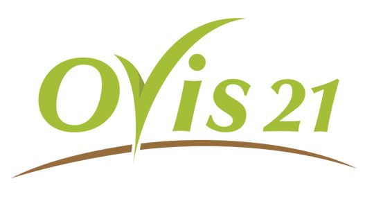 Ovis 21