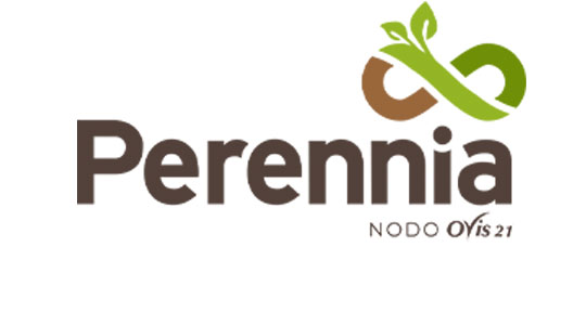 Perennia