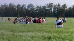 Diplomatura en Protección Vegetal FCA UNR